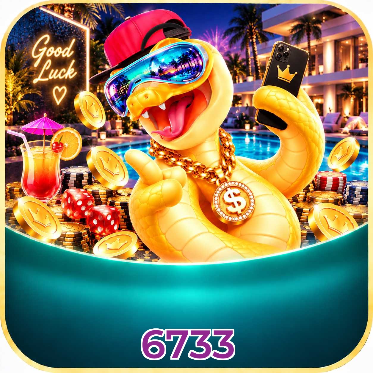 6733 VIP FAQ
