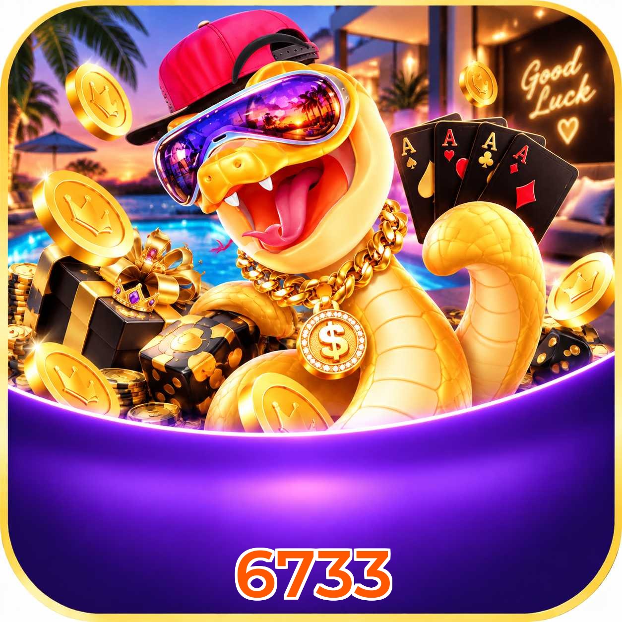 6733 Interface
