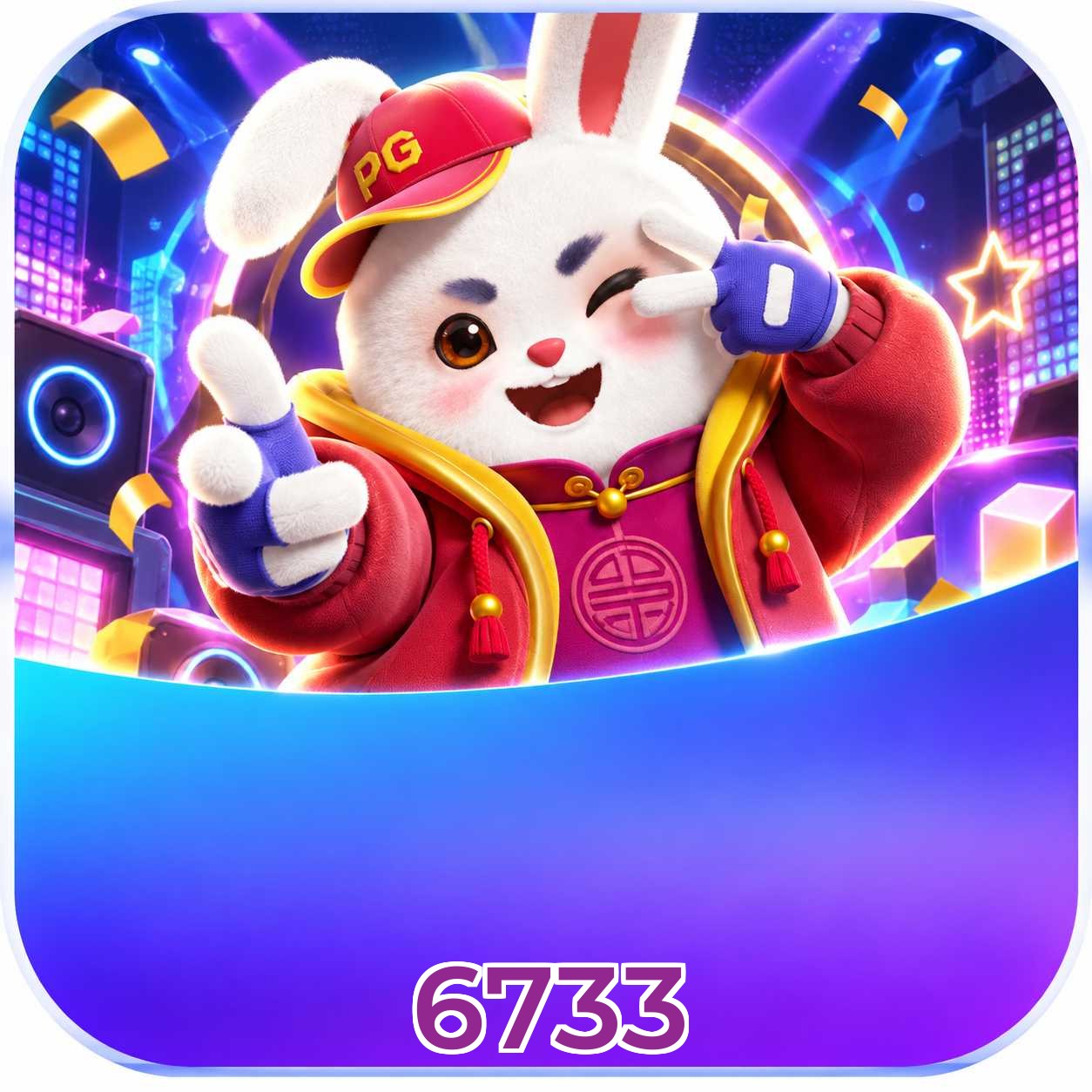6733 Final Verdict