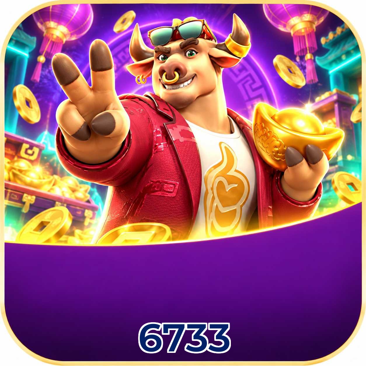 6733 Installation Guide